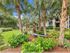 Hammocks in Lush Landscaping