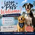 We Love Pets of Every Size