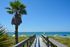st pete