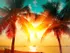 California Sunset at the Beach with Palm Trees