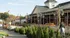 Local Plant Nursery