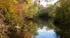 A lagoon near our apartments for rent in Watertown, MA, featuring trees with colorful autumn leaves, and blue sky.