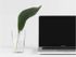 Laptop next to a plant in a glass of water.