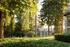 Beautifully Landscaped Grounds