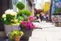 Beautiful street walkway withflowers