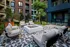 The Patio Courtyard