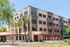 Modern commercial building with stylish facade, featuring lush palm trees and a prominent Ocean Prime sign, located in a vibrant urban setting.