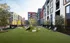 Expansive Dog Park