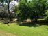 BBQ Area