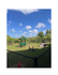 Charming outdoor play area in a lush green park featuring agility ramps, benches, and open space under a beautiful blue sky.