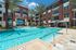 Resort Style Pool