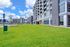 Lawn Area