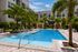 Sunny Pool with Lush Palm Trees