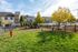 Dog Park