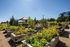 Community Garden