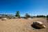 Dog Park