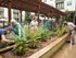 Garden Club