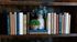 Chic bookshelf display featuring a curated collection of books and elegant decorative plants for a sophisticated touch.