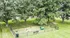 Dog Park