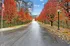 Fall Scenery