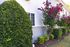 Elegant exterior with vibrant green shrubs and blooming pink flowers against a white building.