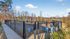 Inviting fenced dog park adorned with charming blue paw prints, surrounded by scenic natural views.