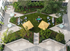 Courtyard- Ariel View