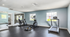 Modern, spacious gym with cardio machines and bright natural lighting creates an inviting fitness environment.
