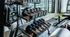 Modern gym with treadmills and stationary bikes, featuring a vibrant green wall and spacious interior.
