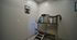 Modern pet washing station in a bright room with sleek stainless steel fixtures and cozy wall art.