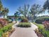 Landscaped apartment community walkway lined with palm trees, greenery, and residential buildings on both sides.