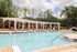 Resort-Style Swimming Pool with Lounge Seating and Tropical Landscaping