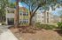 Spacious Apartment Building Exterior with Mature Trees and Open Green Space