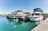 Detroit's Riverfront Towers Apartments for Rent