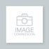 Image placeholder indicating a forthcoming visual depiction of apartment features.
