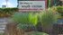 The Villages at South Station Apartments  |  Apartments for Rent in Tukwila WA