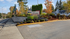 Apartment For Rent Tukwila Wa | The Villages at South Station