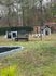 dogpark