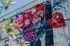 Vibrant urban apartment building adorned with a colorful floral mural, enhancing the modern aesthetic.