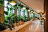 Tranquil hallway with lush greenery and stylish pendant lighting, creating a serene atmosphere.