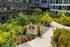Modern apartment courtyard featuring lush greenery, a stylish seating area with vibrant yellow chairs, and a serene stone path.