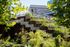 Lush urban garden with rustic concrete steps leading to a rooftop terrace, surrounded by vibrant greenery and modern office buildings.