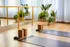 Bright and airy exercise space with yoga mats, cork blocks, dumbbells, and lush greenery for a serene workout experience.