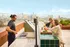Vibrant rooftop BBQ area with stunning city skyline views, featuring a modern grill and comfortable seating.