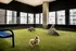 Stylish indoor dog park with green artificial turf and playful dogs enjoying the urban skyline view.