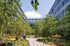 Charming courtyard oasis with lush greenery and modern architecture, perfect for relaxation and community gatherings.