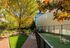Vibrant outdoor space featuring a beautiful tree-lined path, a fenced play area, and a playful mood enhanced by the leaves and golden retriever.