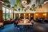 Modern co-working space with greenery hanging from the ceiling, featuring flexible seating areas, natural lighting, and a collaborative atmosphere.