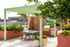Charming urban patio with modern pergola, lush greenery, and stylish outdoor dining area featuring a built-in grill.