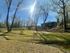 Charming countryside home surrounded by lush greenery and tall trees under a bright sunlit sky.